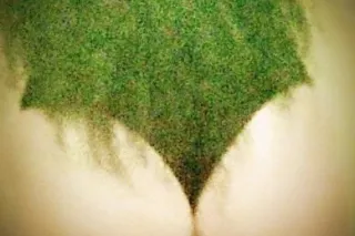 italian $tallion - Image 6